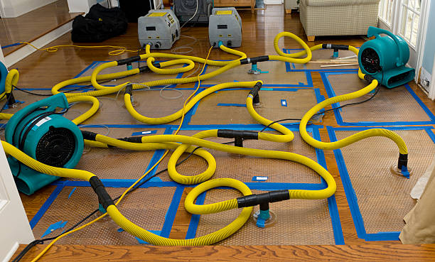 Professional Sewage Cleanup technician working in Renick, MO